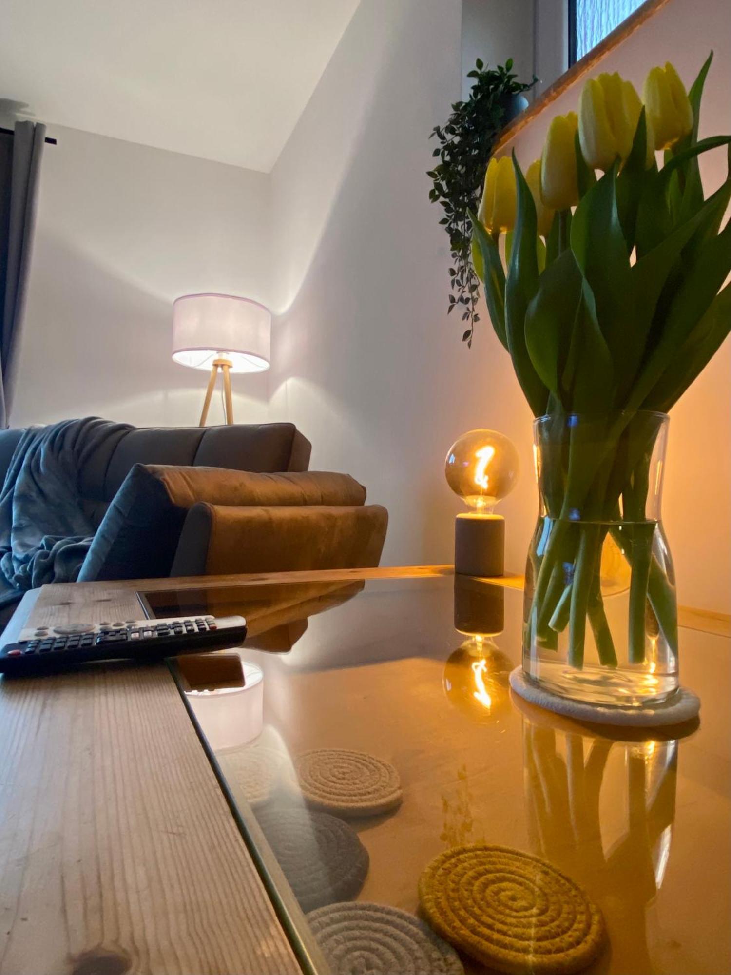 Traumhafte 115 Qm Ferienwohnung Am Steinhuder Meer, Ruhig, Komfortabel, Loggia, Parkplatz, Wifi فونستورف المظهر الخارجي الصورة